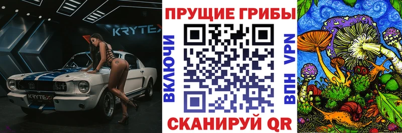 дарнет шоп  Чёрмоз  Галлюциногенные грибы GOLDEN TEACHER 